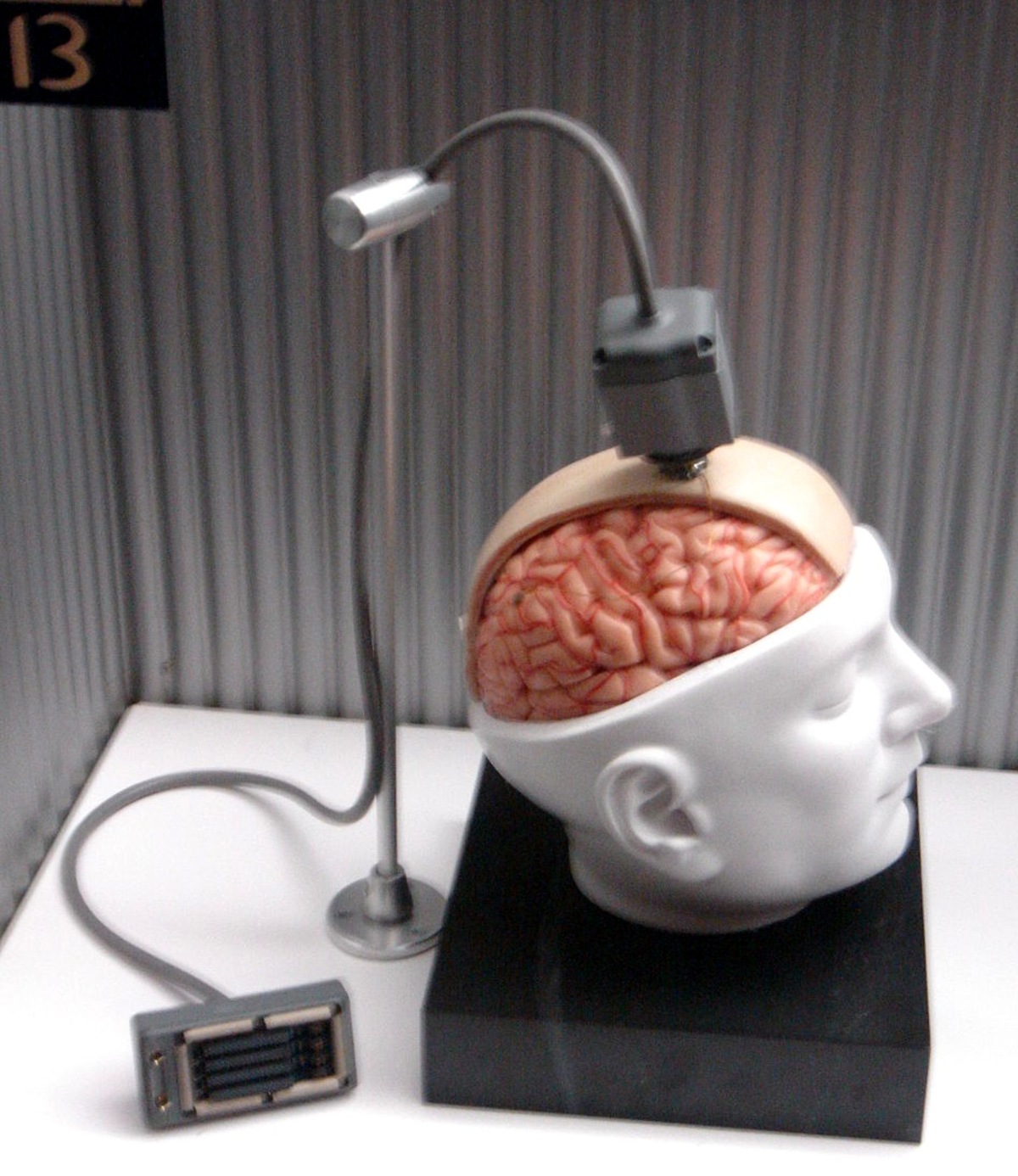 Brain--Computer Interface